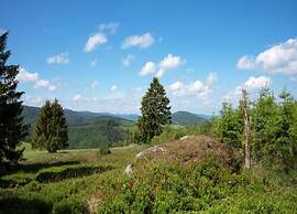 Holiday Flat in the Sauerland With Terrace