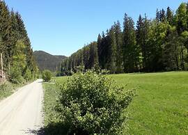 Holiday Flat in the Sauerland With Terrace