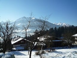 Spacious Apartment in Mittersill near Ski Points