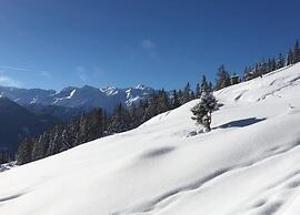 Spacious Apartment in Mittersill near Ski Points