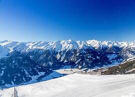 Spacious Apartment in Mittersill near Ski Points
