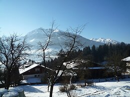 Spacious Apartment in Mittersill near Ski Points