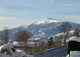 Spacious Apartment in Mittersill near Ski Points