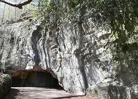 Wohnung in Bad Grund