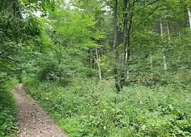 Wohnung in Bad Grund