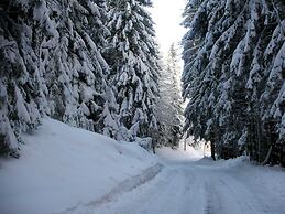 Apartment in Fresach Near Lake Millstatt