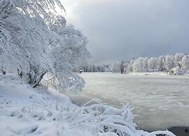 Pleasant Apartment in Wildemann