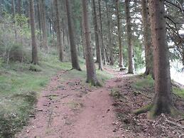 Pleasant Apartment in Wildemann