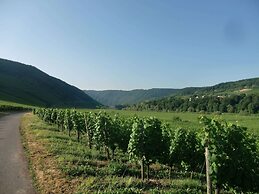 Holiday Home in Bremm Near the Vineyards