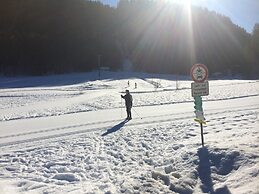 Cozy Chalet in Niederndorf bei Kufstein near Ski Area