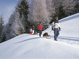 Cozy Chalet in Niederndorf bei Kufstein near Ski Area