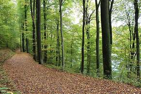 Cozy Apartment in Niederehe Eifel near Forest