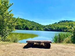 Cozy Apartment in Niederehe Eifel near Forest