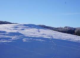 Sunny Terrace & Quiet Stay