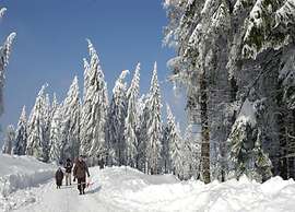 Sunny Terrace & Quiet Stay