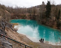Quaint Holiday Home in Elbingerode near Forest