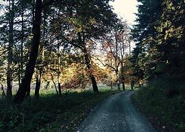 Quaint Holiday Home in Elbingerode near Forest