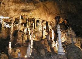 Quaint Holiday Home in Elbingerode near Forest