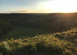 Quaint Holiday Home in Elbingerode near Forest