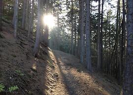 Lovely Holiday Home in Wernigerode near River