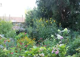 Lovely Holiday Home in Wernigerode near River