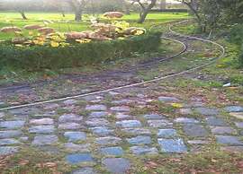 Pet-friendly Getaway