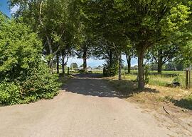 Pet-friendly Getaway