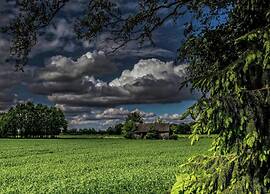 Pet-friendly Getaway