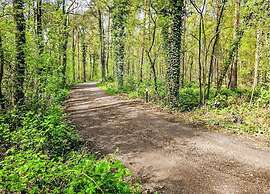 Pet-friendly Getaway