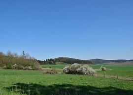 Modern Holiday Home Idyllic Setting With Terrace