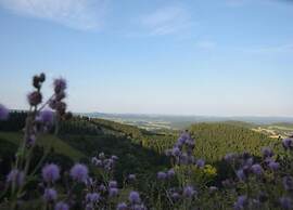 Modern Holiday Home Idyllic Setting With Terrace