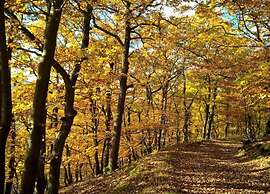 Modern Holiday Home Idyllic Setting With Terrace