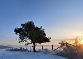 Modern Holiday Home Idyllic Setting With Terrace