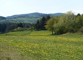Modern Holiday Home Idyllic Setting With Terrace