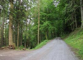 Ferienwohnung in Schiltach