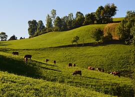 Quaint Apartment With Private Terrace, Garden
