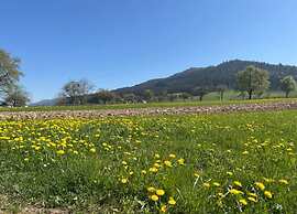 Quaint Apartment With Private Terrace, Garden