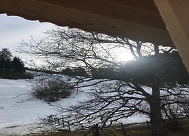 Modern Apartment in Sellinghausen With Terrace