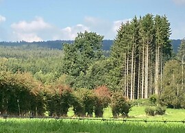 Vintage Holiday Home in Couvin near River