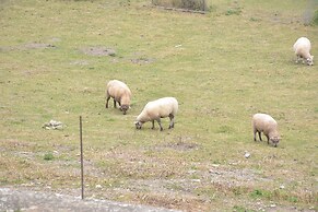 Vintage Holiday Home in Couvin near River