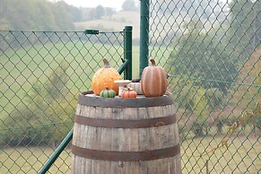 Vintage Holiday Home in Couvin near River