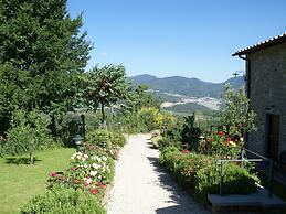 Holiday Home in Montecarelli With Swimming Pool