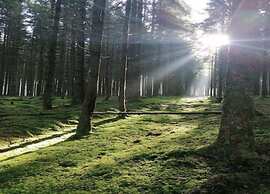 Apartment Near Willingen With Terrace