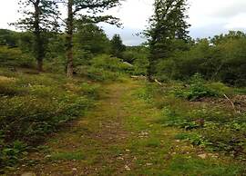 Apartment Near Willingen With Terrace