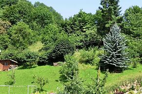 Holiday Home in the Thuringian Forest
