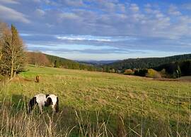 Cozy Holiday Home in Großbreitenbach near Schwarza Valley