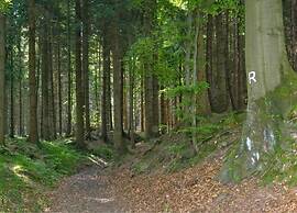 Cozy Holiday Home in Großbreitenbach near Schwarza Valley