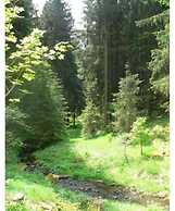 Cozy Holiday Home in Großbreitenbach near Schwarza Valley