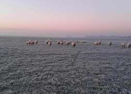 Holiday Home With Private Terrace