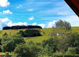 Apartment in Bernau Black Forest With Valley View